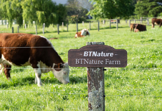 Welcome to BTNature